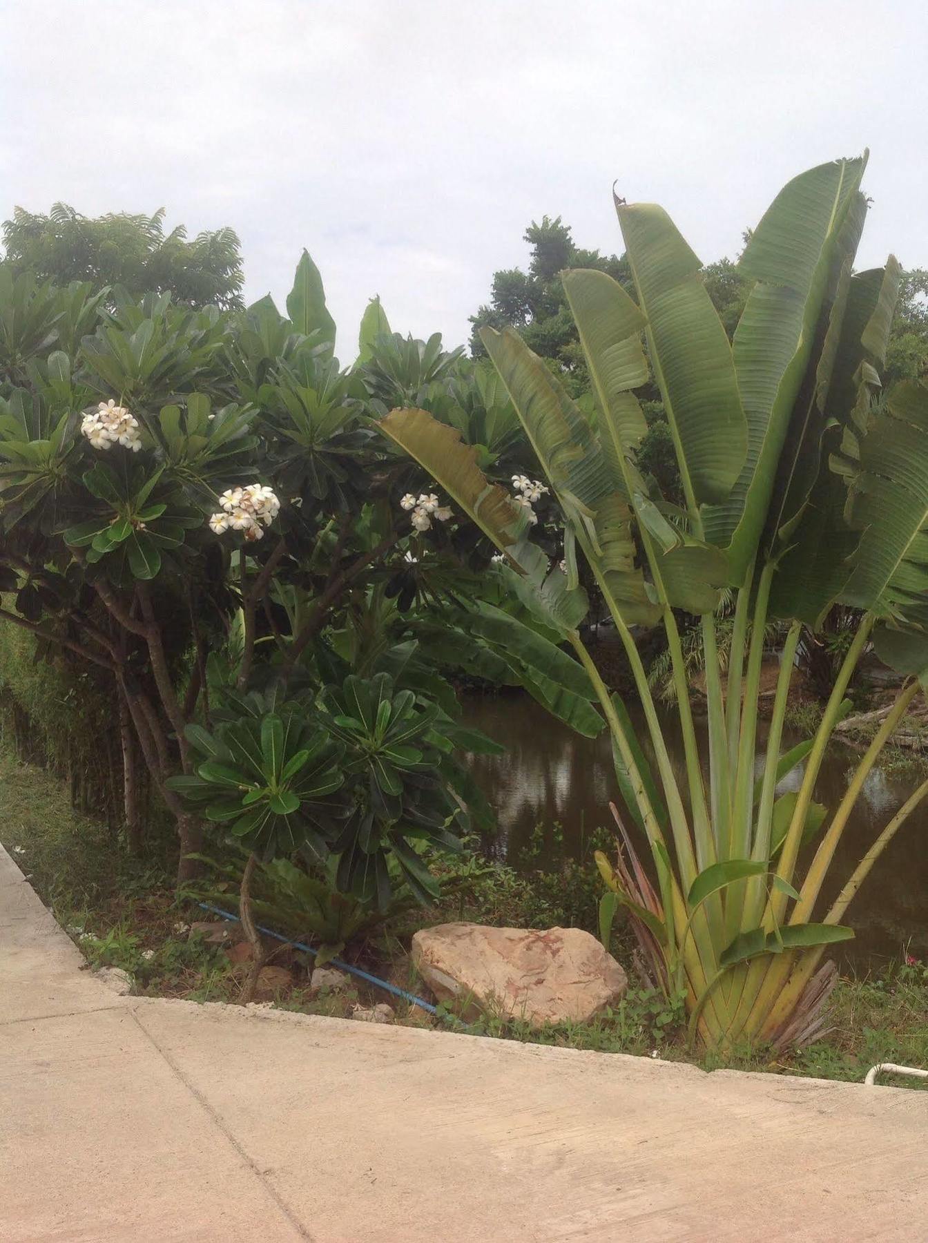 Kantana Apartment Hat Yai Buitenkant foto